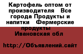 Картофель оптом от производителя - Все города Продукты и напитки » Фермерские продукты   . Ивановская обл.